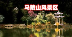 性鲍视频在线观看免费网站